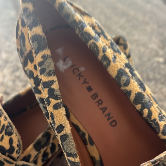NWOB Lucky Cheetah Loafers. Size 6. Leather upper - Picture 2 of 5